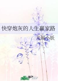 我用巫女能力救济柯学世界免费阅读