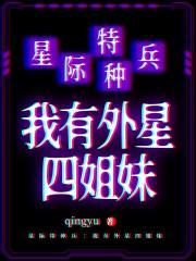 我怎么就成f1车手了无防盗