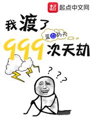 廉石传奇演员表