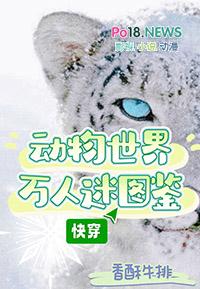 黑水修扇子