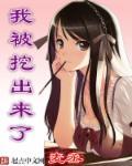 师兄他有夫君人设