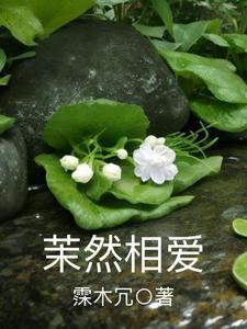 盛妆山河 漫步云端