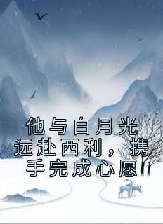 四合院的生活日常笔趣阁